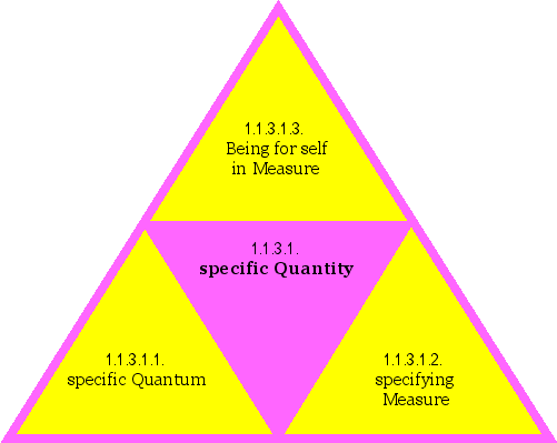 specific Quantity