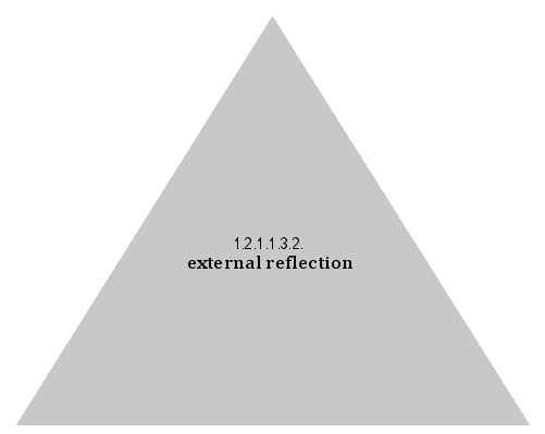 external reflection