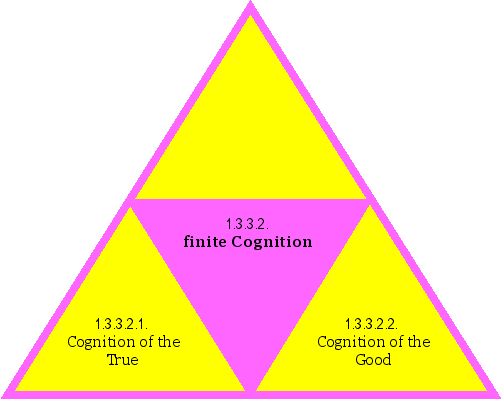 finite Cognition