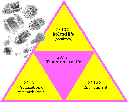 Transition to life