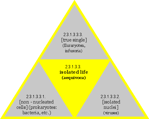 isolated life (aequivoca)