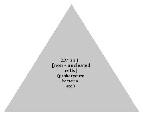 [non-nucleated cells] (prokaryotes: bacteria, etc.)