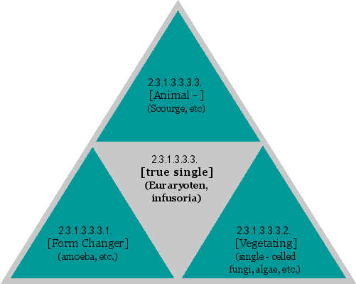 [true single] (Euraryoten, infusoria)