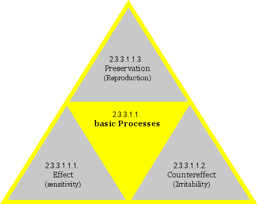 basic Processes