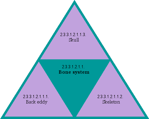 Bone system