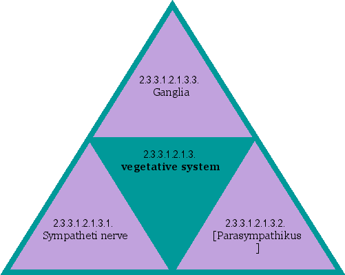 vegetative system