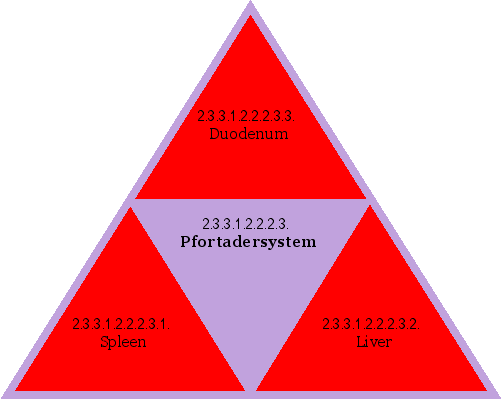 Pfortadersystem