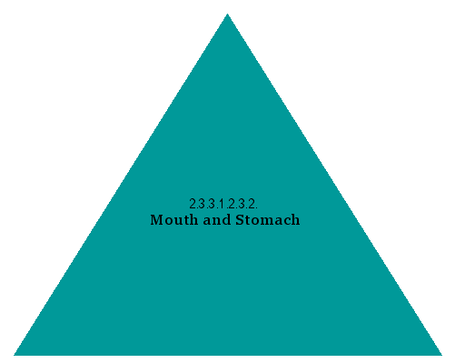 Mouth and Stomach