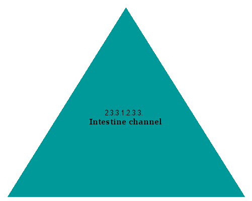 Intestine channel