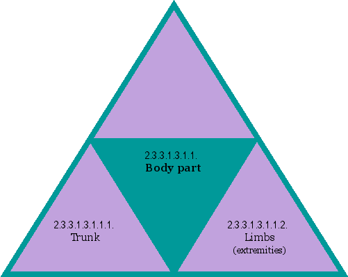 Body part