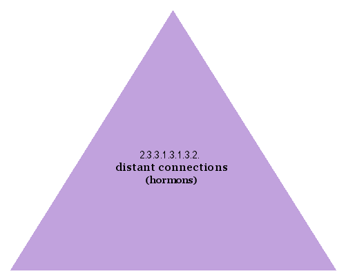 distant connections (hormons)