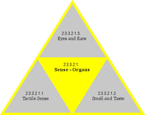 Sense-Organs