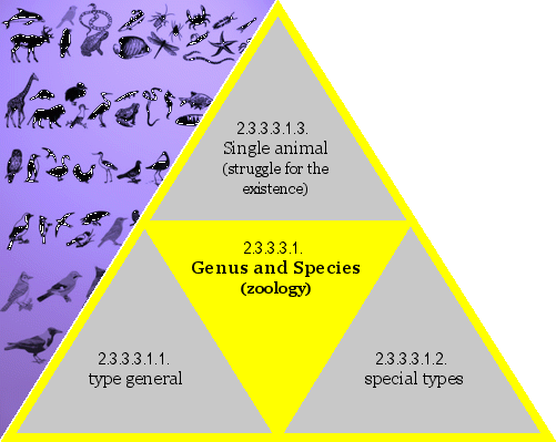 Genus and Species (zoology)