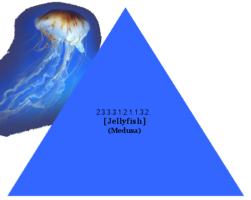 [Jellyfish] (Medusa)