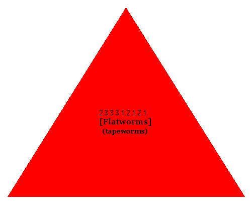 [Flatworms] (tapeworms)