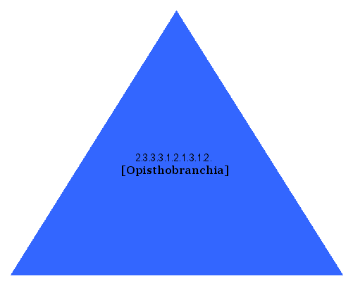 [Opisthobranchia]