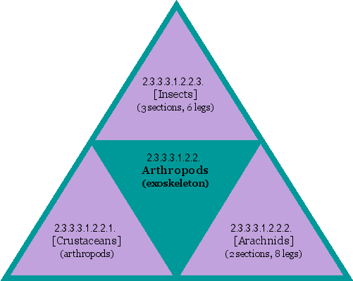 Arthropods (exoskeleton)