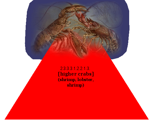 [higher crabs] (shrimp, lobster, shrimp)