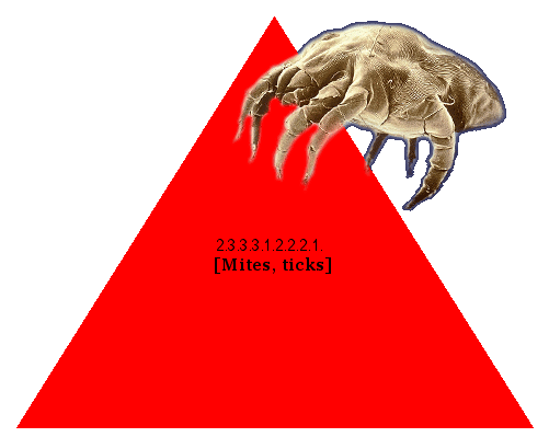 [Mites, ticks]