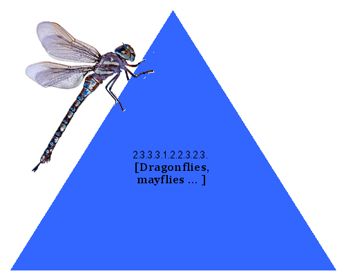 [Dragonflies, mayflies ... ]