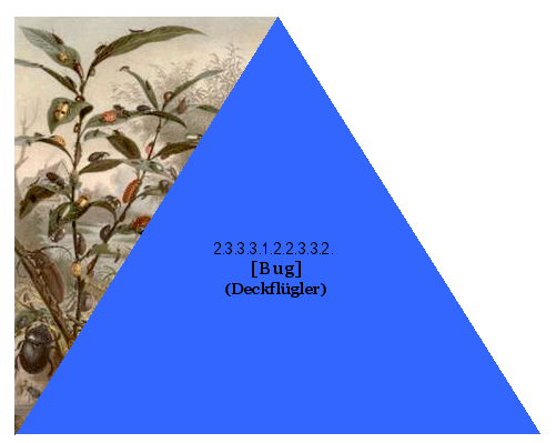 [Bug] (Deckflügler)