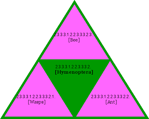 [Hymenoptera]