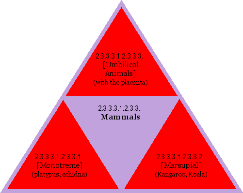 Mammals