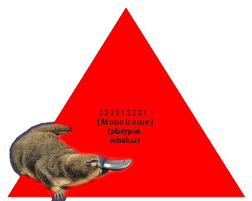 [Monotreme] (platypus, echidna)