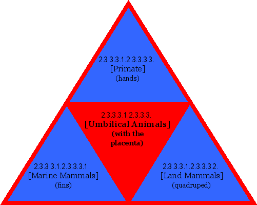[Umbilical Animals] (with the placenta)