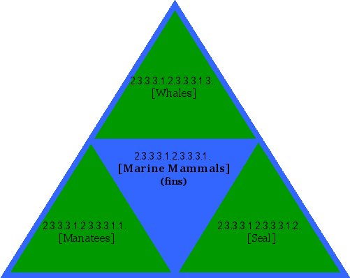 [Marine Mammals] (fins)