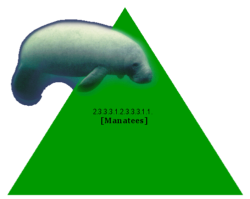 [Manatees]