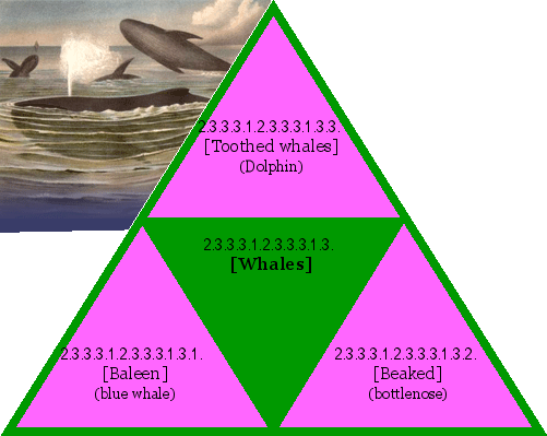 [Whales]