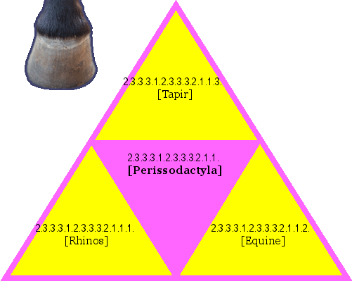 [Perissodactyla]