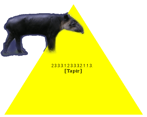 [Tapir]