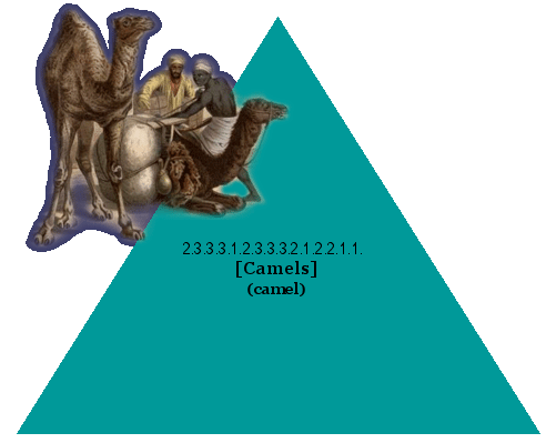 [Camels] (camel)
