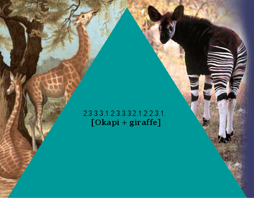 [Okapi + giraffe]