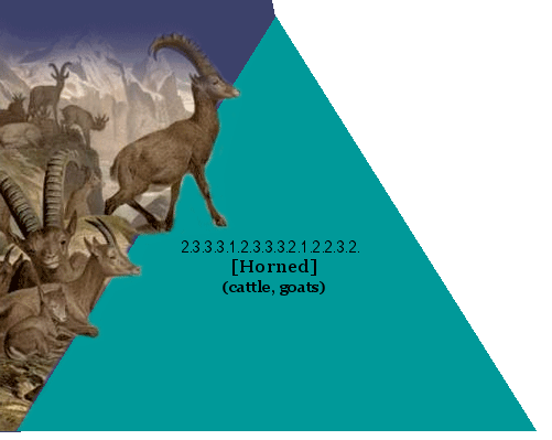 [Horned] (cattle, goats)