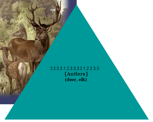 [Antlers] (deer, elk)