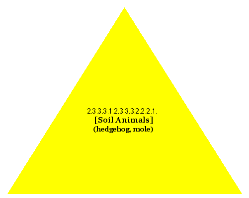 [Soil Animals] (hedgehog, mole)