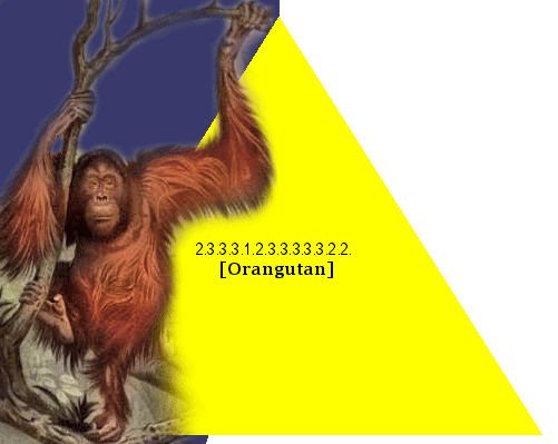 [Orangutan]