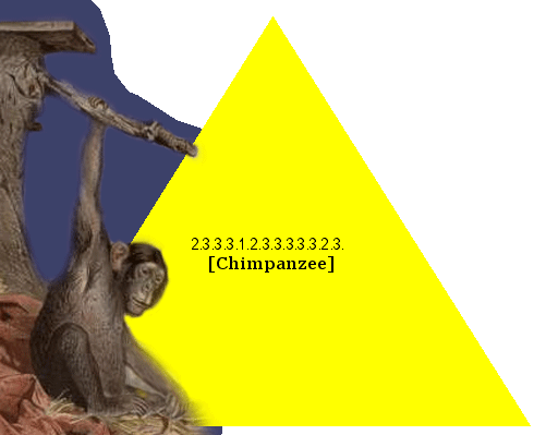 [Chimpanzee]