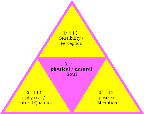physical/natural Soul