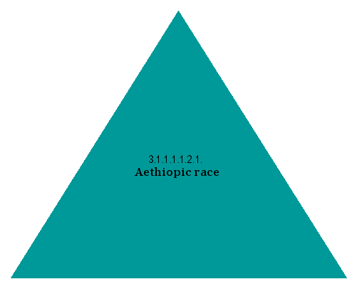 Aethiopic race