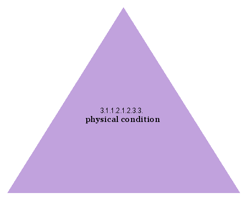 physical condition