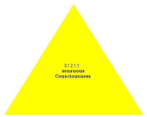 sensuous Consciousness